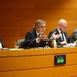 Los recortes al valenciano, centro de las críticas de la oposición al Presupuesto en Educación y Cultura