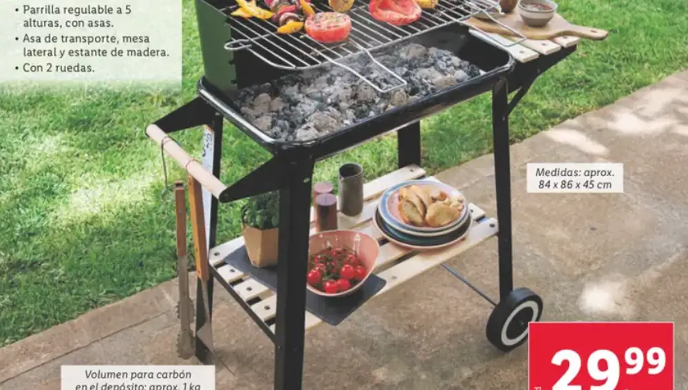 Barbacoa jardín Lidl