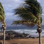 La borrasca 'Nuria' se deja sentir ya en Canarias con rachas de viento por encima de los 95 km/h
