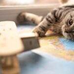Viajes y mascotas