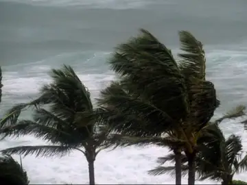 El Gobierno de Canarias advierte de que lo peor del temporal llega en las próximas horas: estas serán las zonas más afectadas Fuertes vientos en Canarias este jueves, 3 de abril