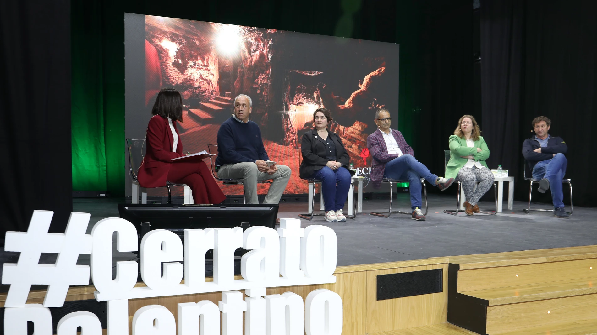 Mesa redonda durante la primera jornada de este congreso sobre barrios históricos de bodegas en Baltanás