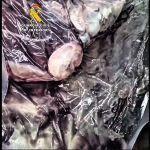 Cinco personas investigadas por comercializar 231 kilos de carne podrida