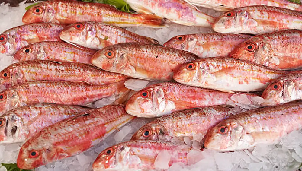 Salmonete