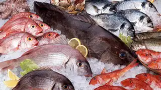 l carnitina olor a pescado Qué es el "síndrome del olor a pescado" y cómo se soluciona?