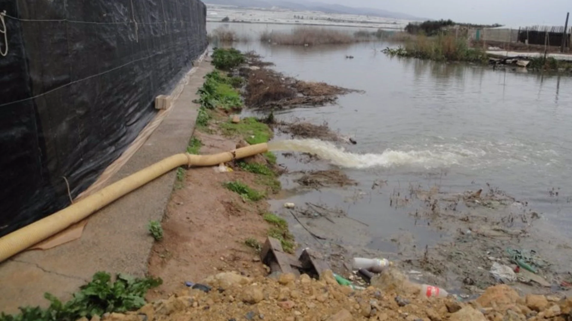 La balsa del Sapo ha supuesto un problema en lugar de un recurso