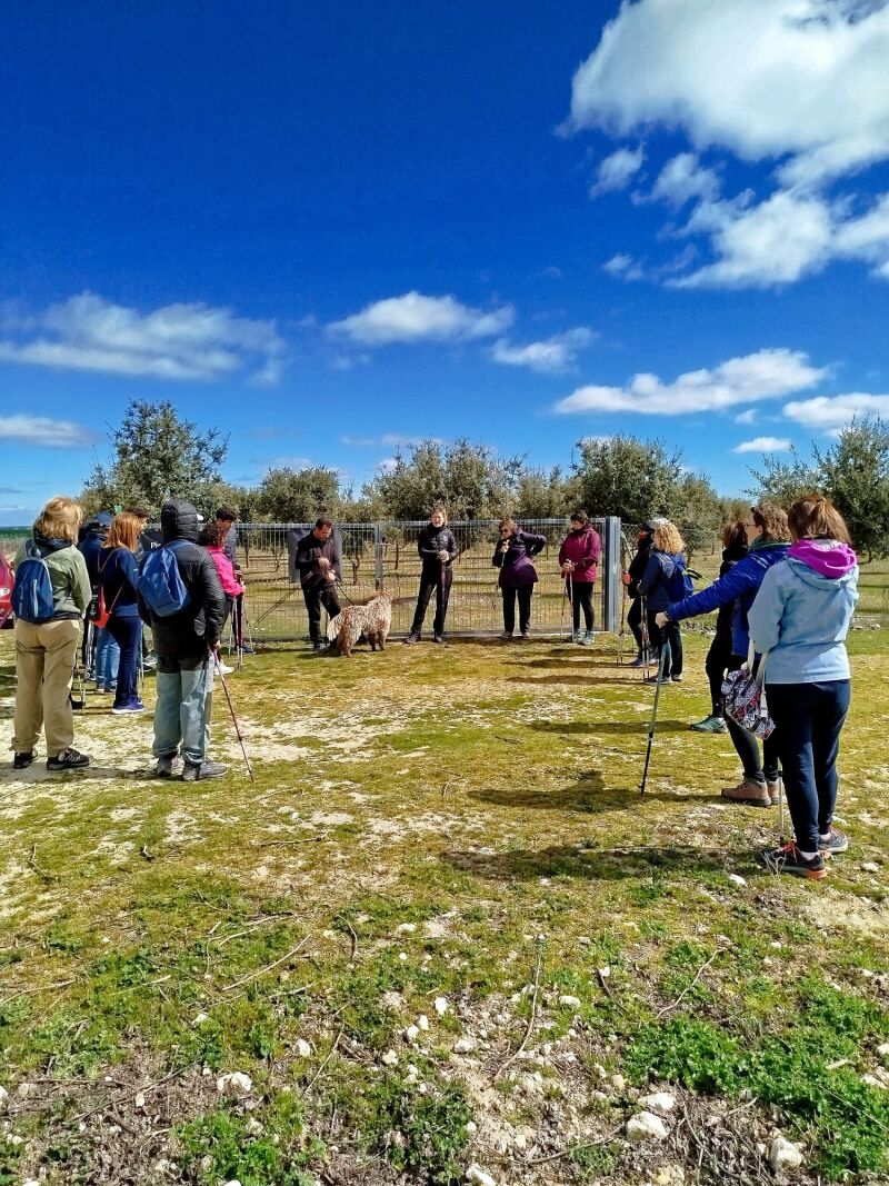 Raquel y Fernando hacen una introducción a la truficultura a los participantes de la experiencia de marcha nórdica junto a su plantación de encinas truferas