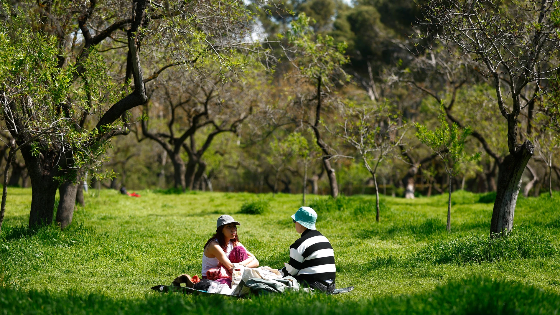 Se esperan este martes temperaturas primaverales en Castilla y León