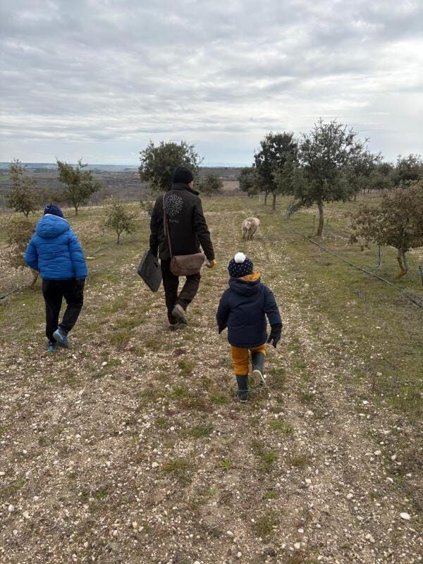 Lucas busca trufas durante una de las visitas al proyecto de trufiturismo de RFtrufas durante esta campaña de invierno en Canalejas de Peñafiel