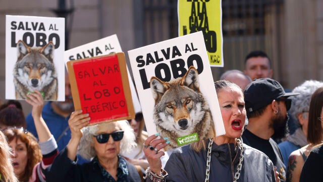 Manifestación en protesta por la desprotección del lobo ibérico