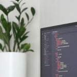 Desarrollo de software