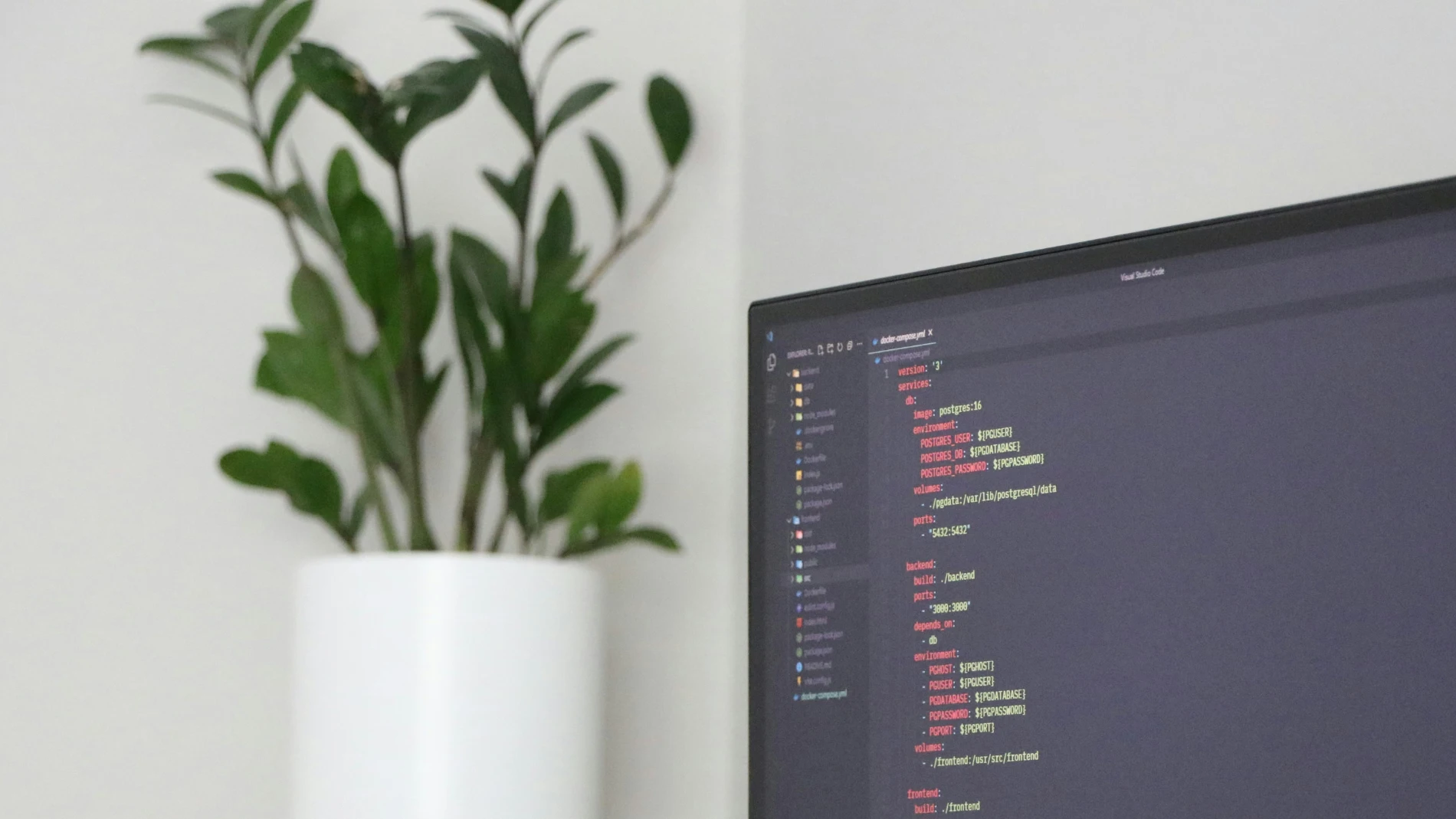 Desarrollo de software