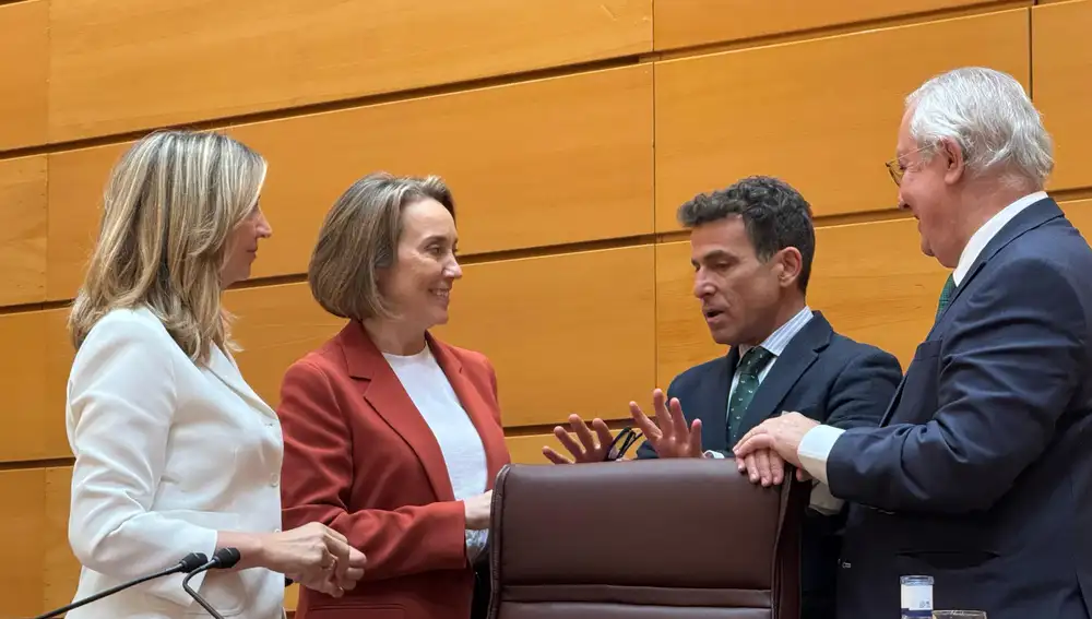 La portavoz del PP, Alicia García; la secretaria general del PP, Cuca Gamarra; el concejal del PP de Durango, Carlos García y el secretario general del Grupo Popular, Javier Arenas, este martes en el Senado.