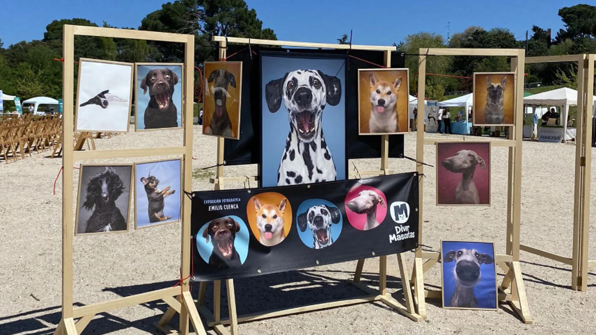 Expositor del festival Diver Mascotas 2024