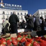 Más de 2.000 tarrinas de fresas de Huelva son repartidas por parte de la Unión de Pequeños Agricultores (UPA) de Andalucía y UPA-Huelva, en la Puerta del Sol,