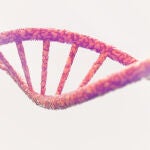  Cada ser humano tiene alrededor de 25.000 genes, que esconden un tesoro en forma de datos