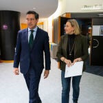 La vicepresidenta Isabel Blanco durante la Comisión junto al eurodiputado Raúl de la Hoz