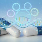 Células, genes o tejidos son la base de tratamientos innovadores