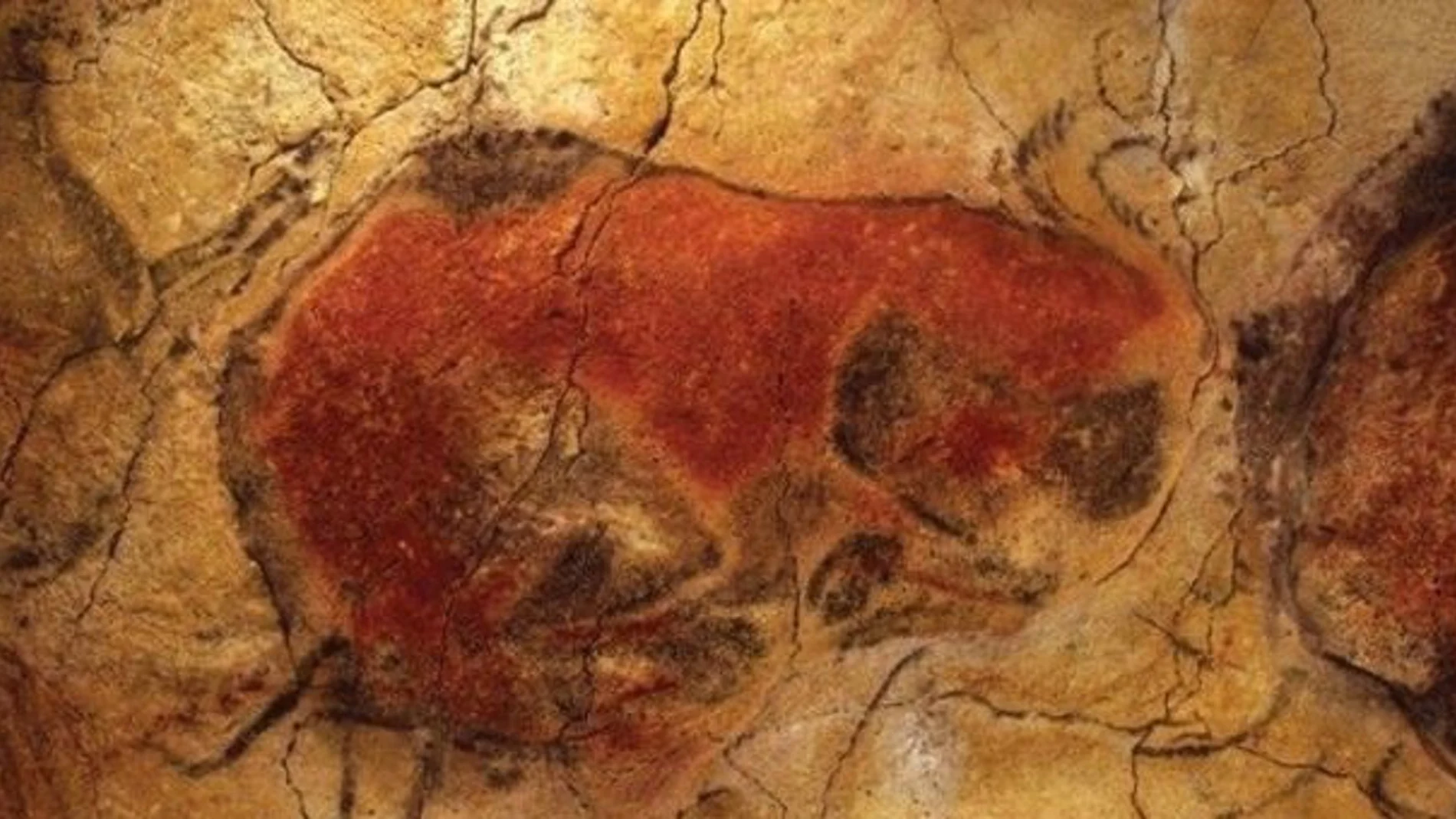 CANTABRIA.-El Gobierno adjudica el mantenimiento de los sensores que monitorizan las condiciones de la cueva de Altamira