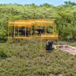 El dron permite identificar cuántos y qué tipos de animales detecta la cámara