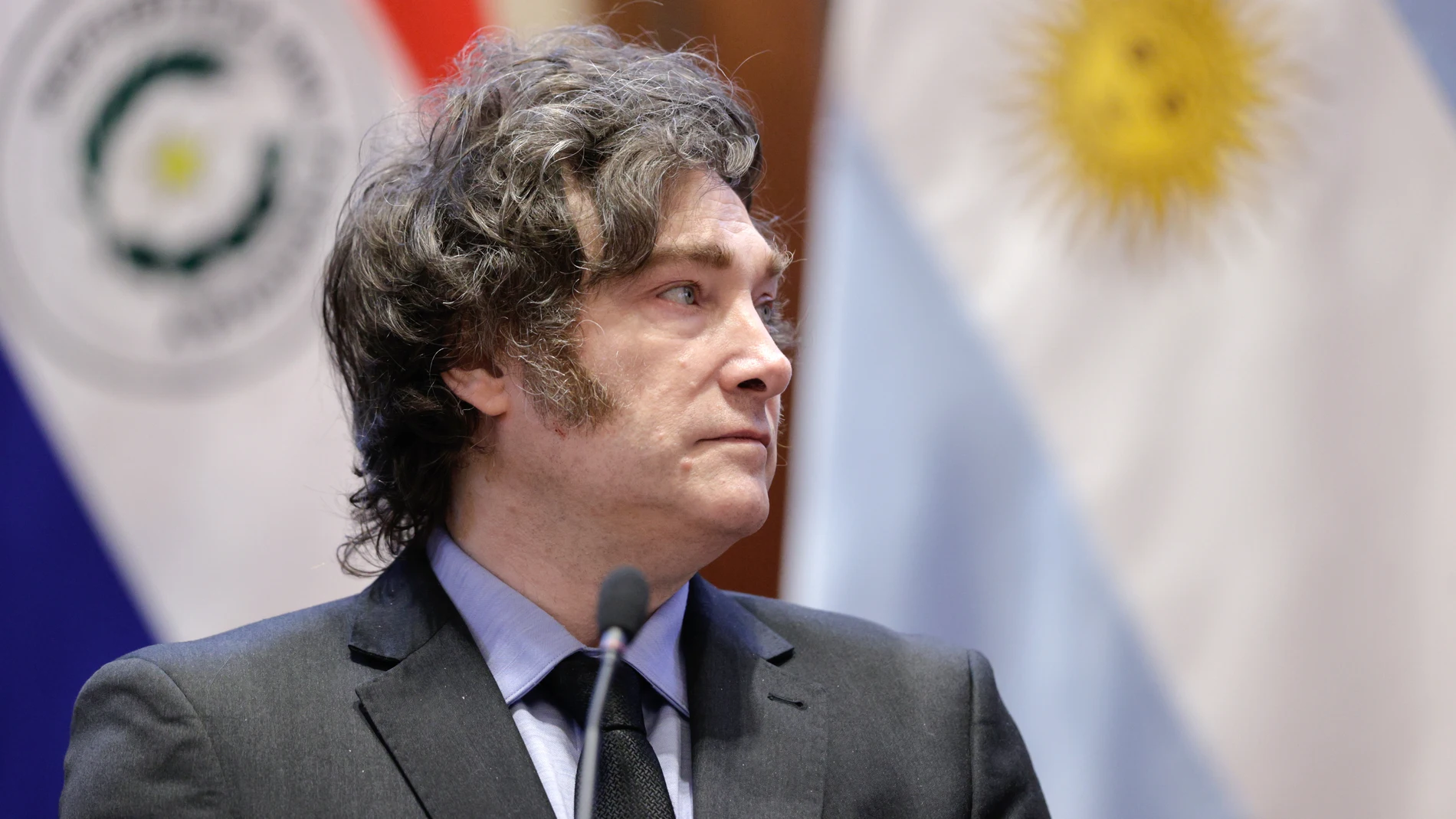 AME7362. ASUNCIÓN (PARAGUAY), 09/04/2025.- El presidente de Argentina, Javier Milei, habla durante una rueda de prensa en el Palacio de López este miércoles, en Asunción (Paraguay). Milei llegó a Paraguay para la primera visita oficial a su país vecino desde que asumió el poder, en diciembre de 2023, donde mantendrá reuniones con su homólogo anfitrión, Santiago Peña. EFE/ Juan Pablo Pino