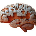 Los investigadores harán un análisis de ADN de 3.500 muestras de tejido cerebral