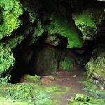 Así es la cueva de la Ribeira Sacra que deslumbra por su musgo brillante