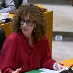 Una consejera del PSOE del Consejo de Seguridad Nuclear: "Tener demasiados conocimientos también es contraproducente"