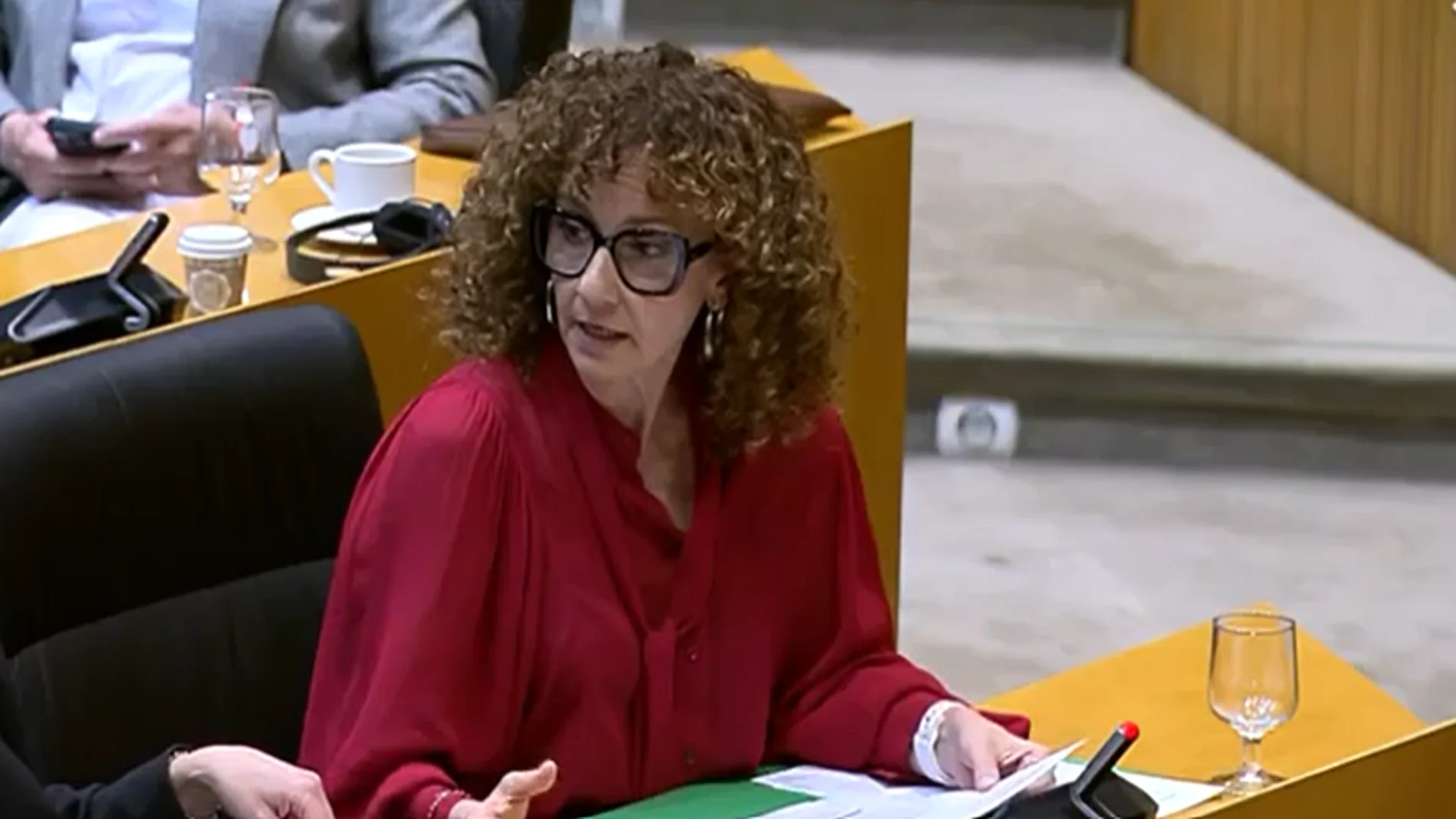 Una consejera del PSOE del Consejo de Seguridad Nuclear: "Tener demasiados conocimientos también es contraproducente"