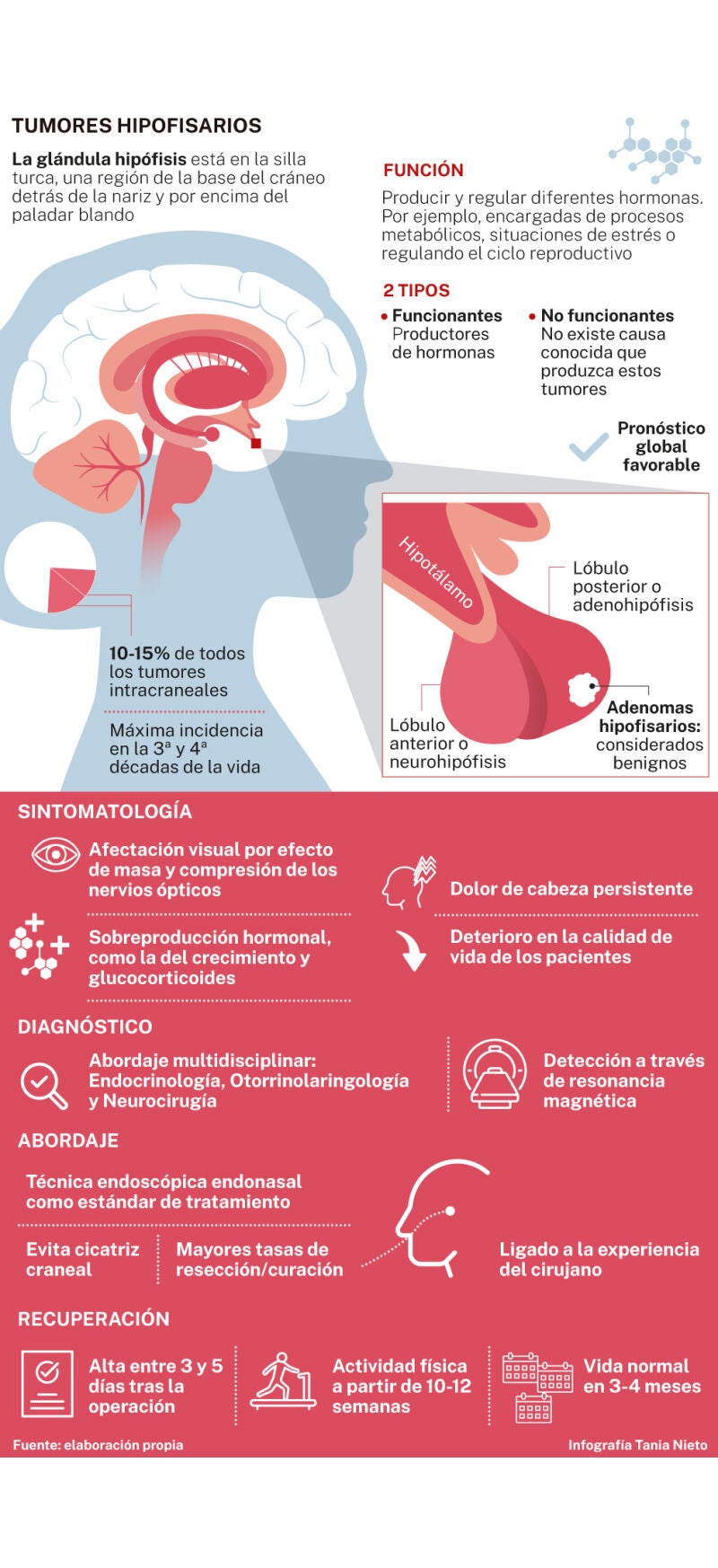 Tumores hipofisarios