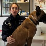 La agente con la mascota durante el vídeo de aviso