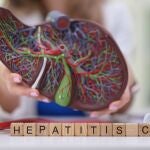 Maqueta de Hepatitis Cd