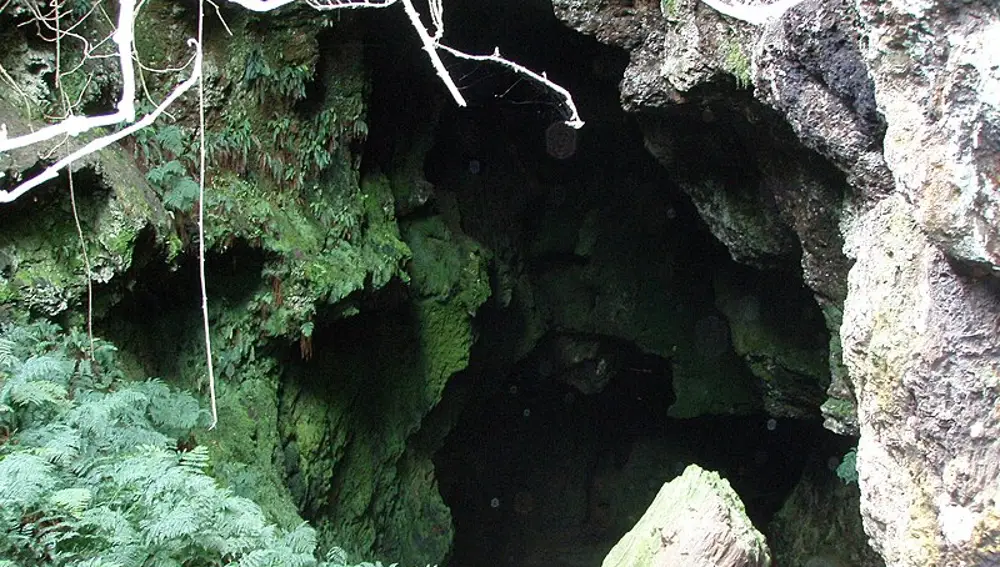 Cova das Choias