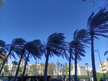 Alerta por viento en Almería Alerta por viento en Almería