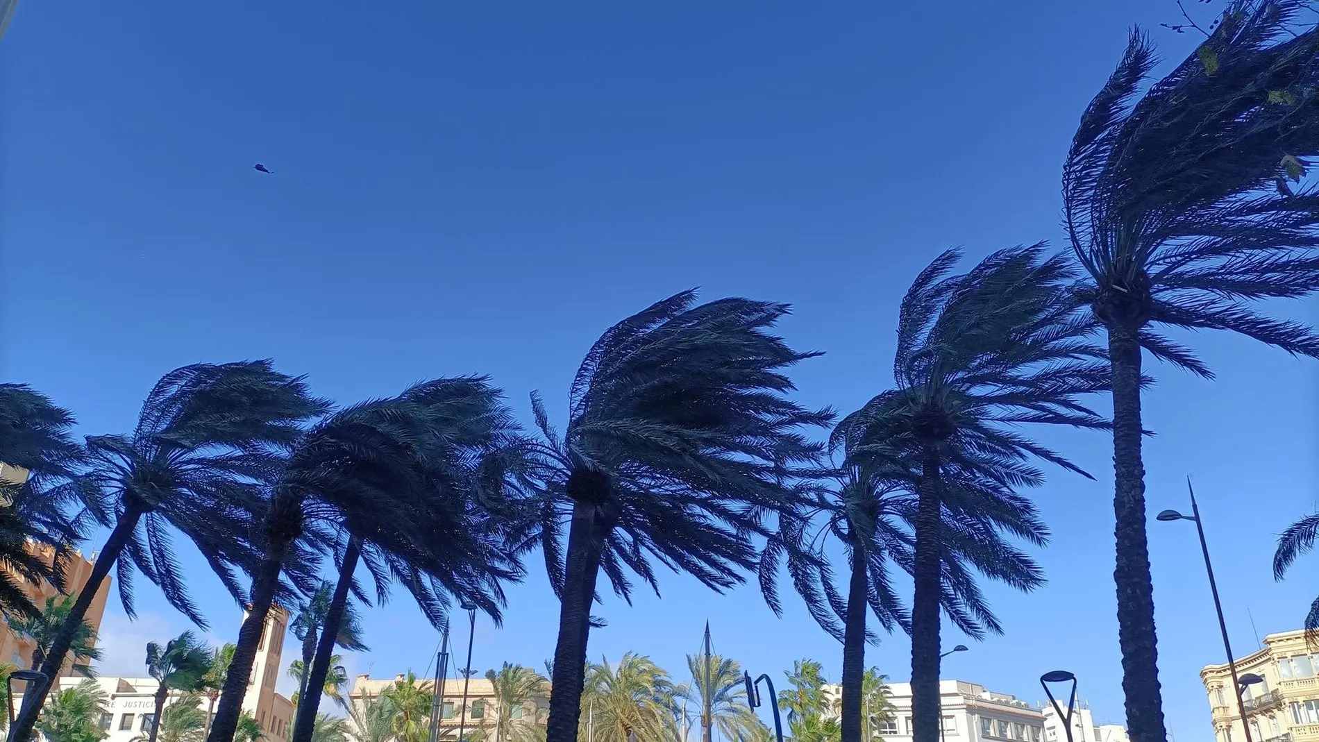 Alerta por viento en Almería