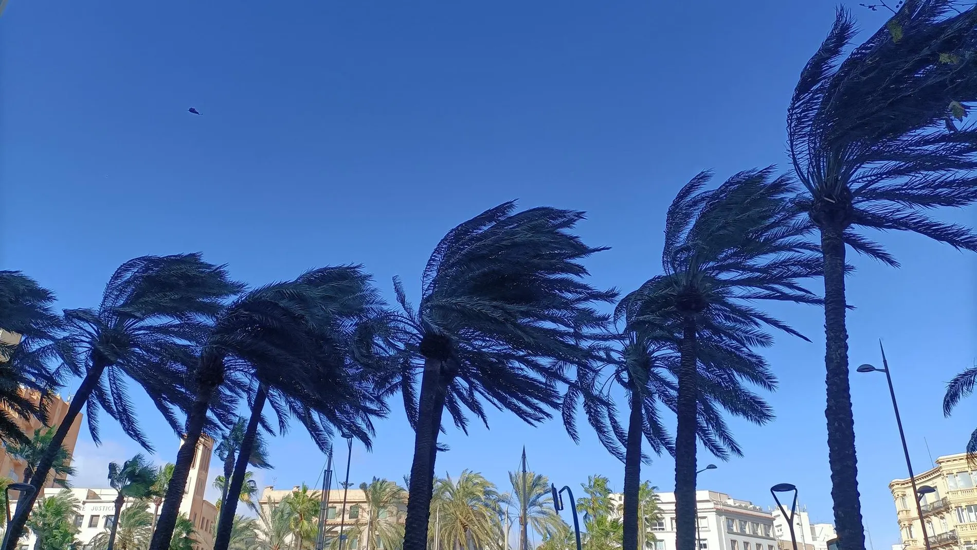 Alerta por viento en Almería
