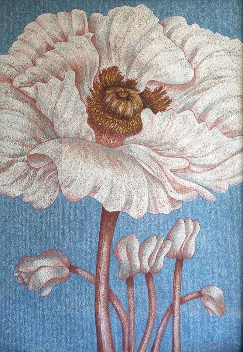 White Poppy&quot;, de Emma Reyes