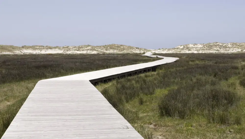 Pasarela de madera.