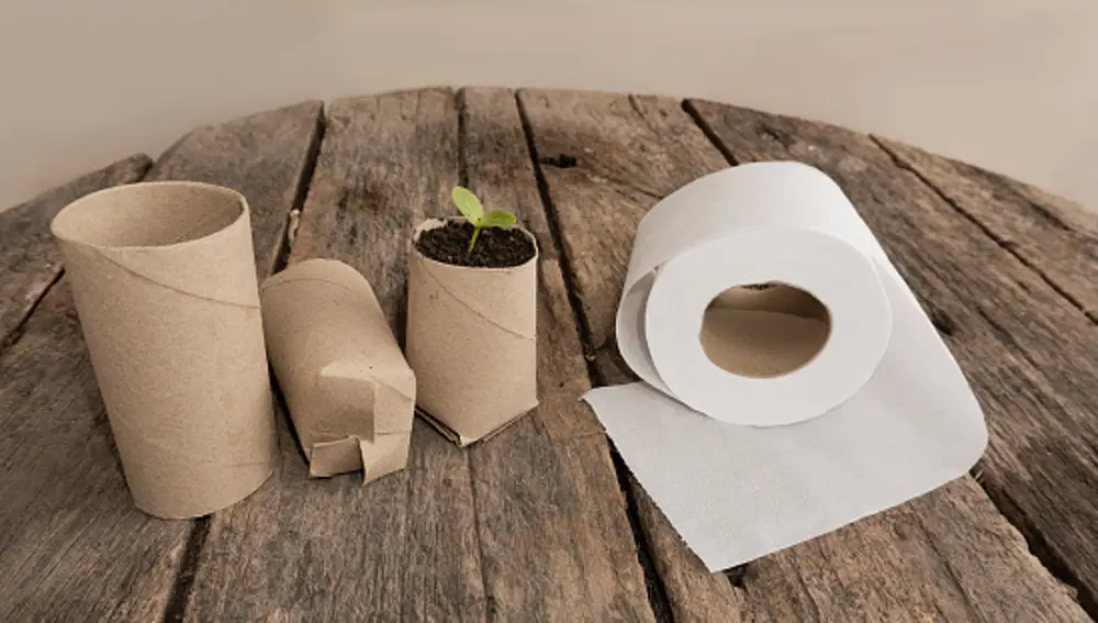 Rollos de papel higiénico