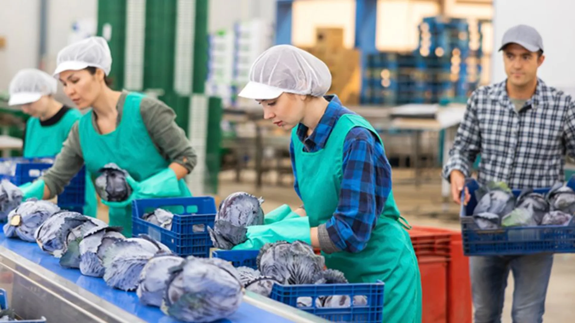 Ofrecen 20 vacantes para trabajar en un pueblo de Toledo: se paga a más de 12 euros la hora