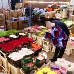 Siete millones de rosas, la previsión de ventas para este Sant Jordi