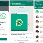 El chat oficial de WhatsApp, con información útil y consejos de seguridad, llega a Europa