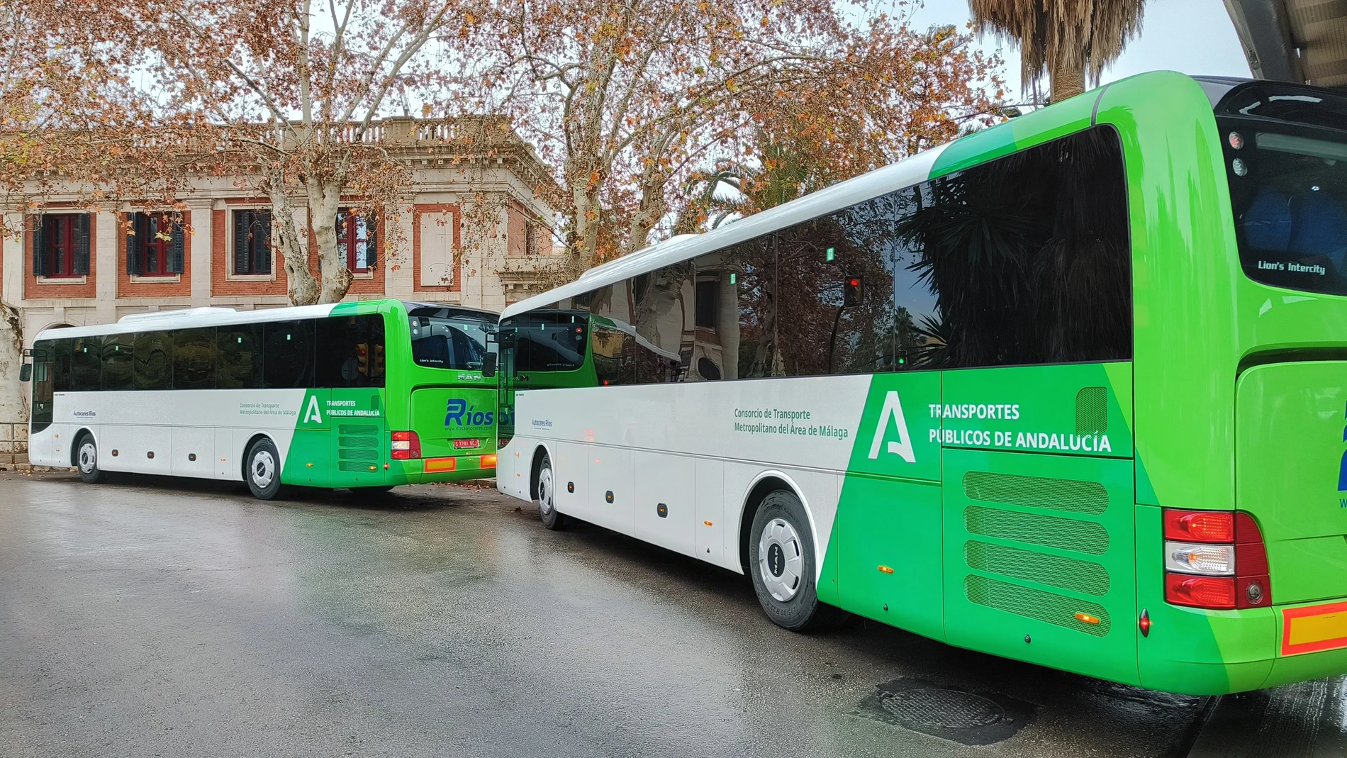 Autobuses metropolitanos