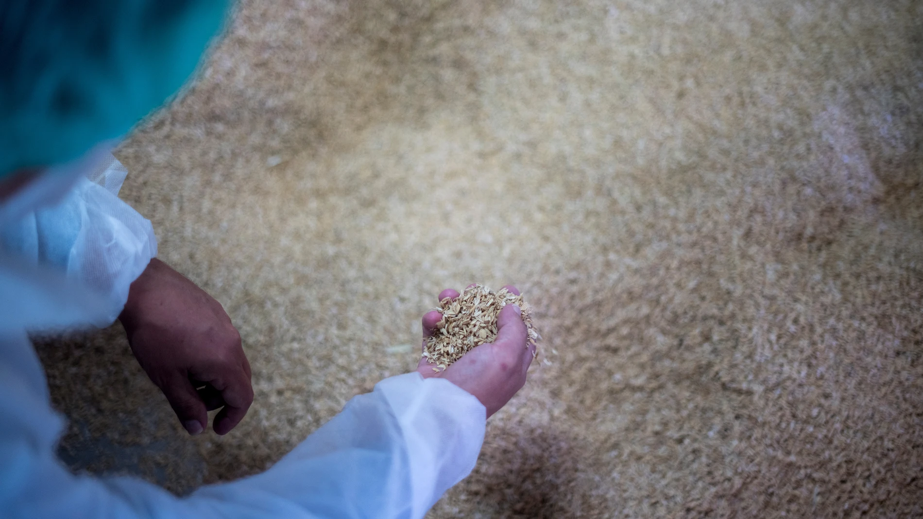 ¿Para qué sirve la cáscara de arroz en los coches?