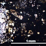 Foto de sección delgada de la muestra LAR 12252 bajo luz polarizada plana con aumento de 5x. 