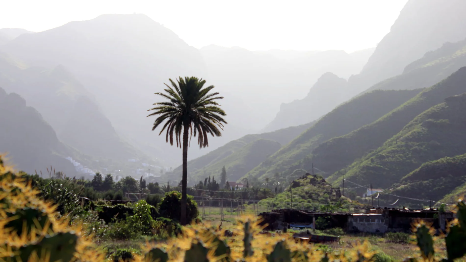 Valle de Agaete