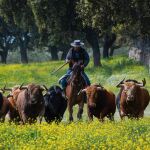 120 años defendiendo al toro bravo