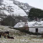 Vuelve la nieve a Castilla y León