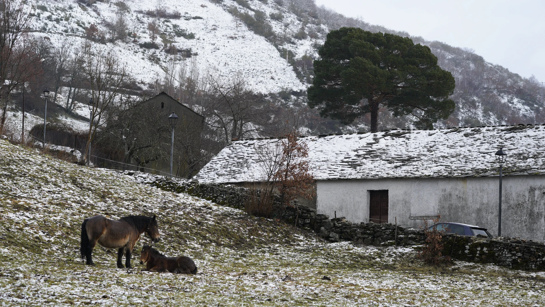 Vuelve la nieve a Castilla y León