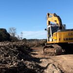 La Conselleria de Medio Ambiente trabaja en la restauración del parque natural del Turia